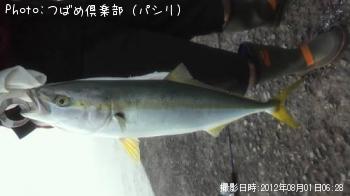 ʥ