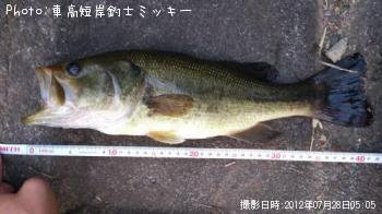 ブラックバス