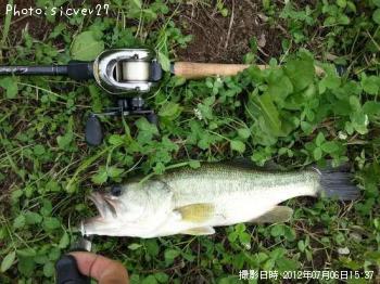 ブラックバス