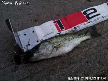 ブラックバス