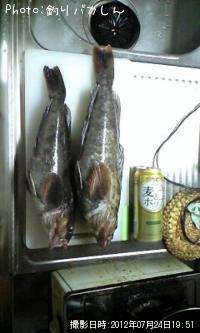 ʥ
