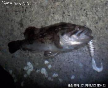 クロソイ