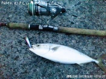 ツバス