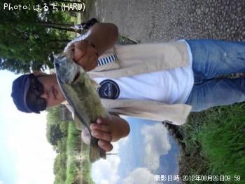 ブラックバス