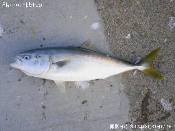 ʥ