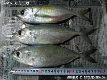 メアジ