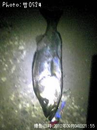 Х