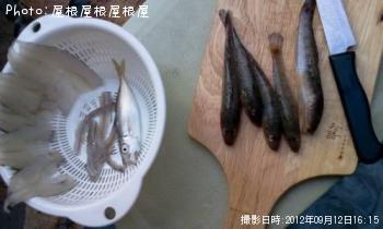 みんなプチキスハゼアジ（笑）