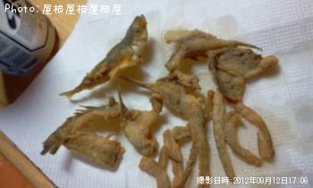 みんなプチキスハゼアジ（笑）