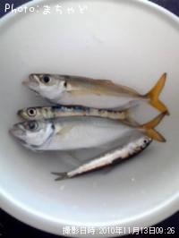 アジ