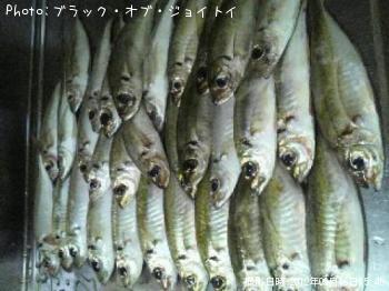 アジ