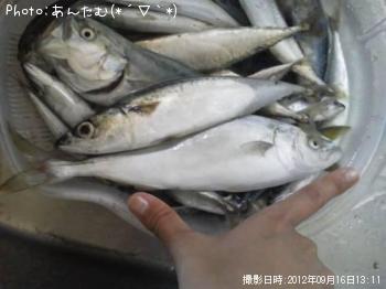 Сդ餮