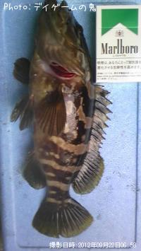 クエ