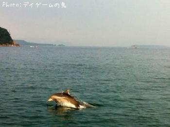 クエ