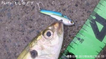 アジ