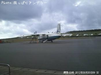 ショゴ