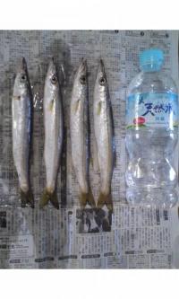 カマス