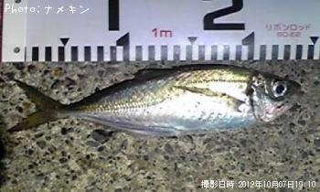 あじ