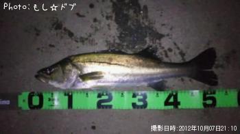 フッコ