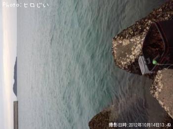 チヌ