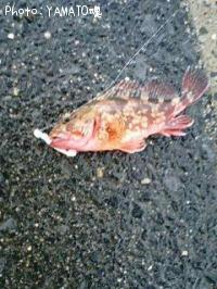 饫