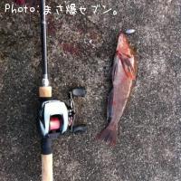 ʥ