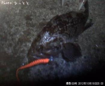 クロソイ