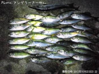 アジ