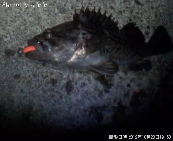 クロソイ