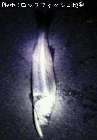Х