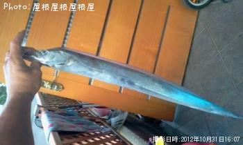 タチウオだぜ！
