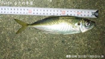 アジ