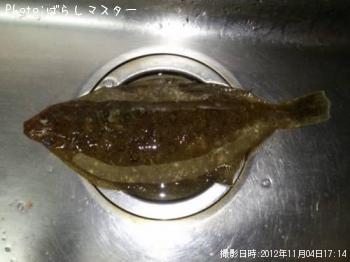 ヒガレイ