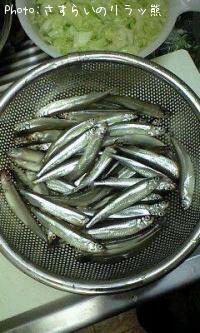 公魚