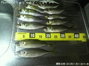 アジ