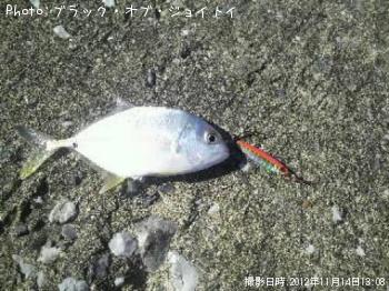 メッキ