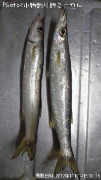 カマス
