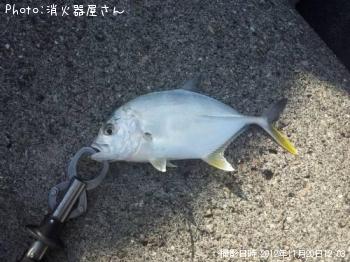 メッキ