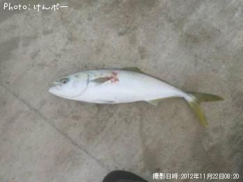 ʥ