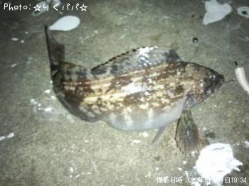 ʥ