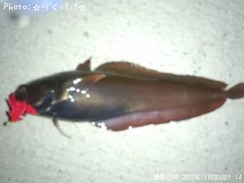 ʥ
