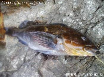 ʥ