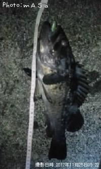 クロソイ