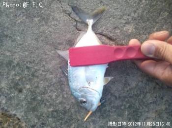 メッキ