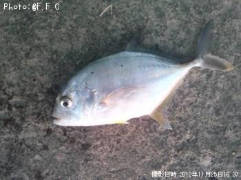 メッキ
