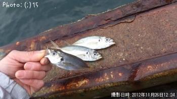 あじ