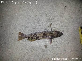 ʥ