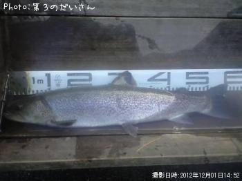 イトウ