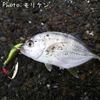 メッキ