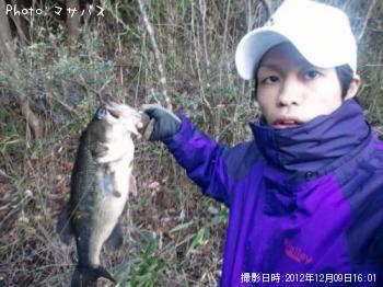 ブラックバス